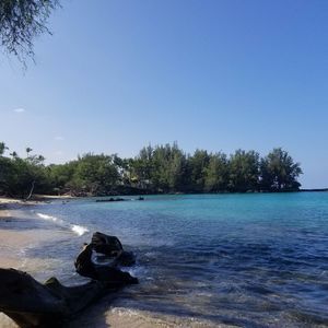 Meet your Posher, Deann